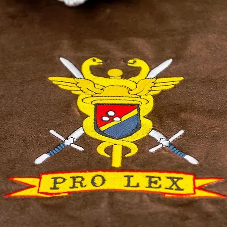 בית הארחה Prolex Turism Srl בראן