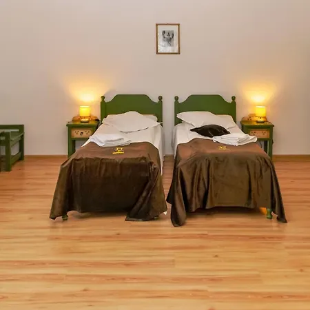 Prolex Turism Srl בית הארחה בראן