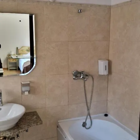 Prolex Turism Srl בית הארחה בראן