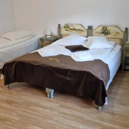 Prolex Turism Srl בית הארחה בראן