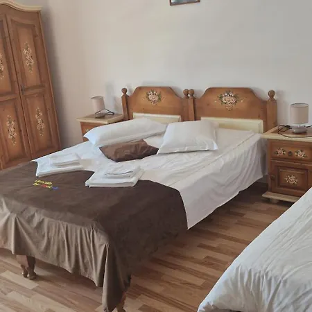 Prolex Turism Srl Pensionat *